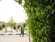 اسلایدشو