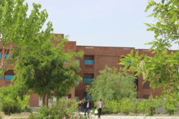 زندگی در دانشگاه