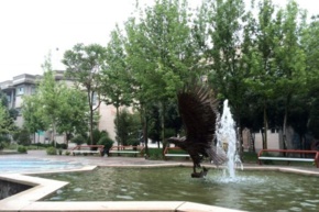 تصاویر دانشکده هنر