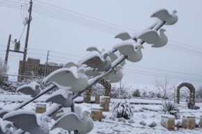 تصاویر دانشگاه