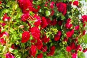 تصاویر دانشگاه