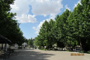 تصاویر دانشکده هنر