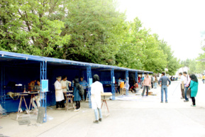 تصاویر دانشکده هنر