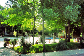 تصاویر دانشکده هنر