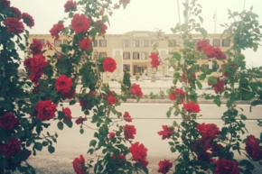 تصاویر دانشگاه