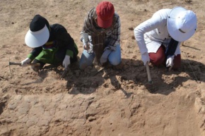 تصاویر دانشگاه