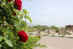 تصاویر دانشگاه