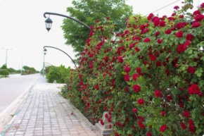 تصاویر دانشگاه