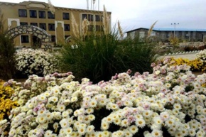 تصاویر دانشگاه