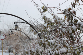 زمستان دانشگاه نیشابور