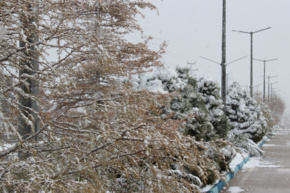 زمستان دانشگاه نیشابور