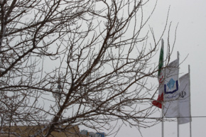 زمستان دانشگاه نیشابور