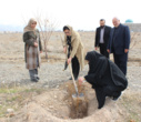 برگزاری مراسم درختکاری با حضور سرپرست دانشگاه