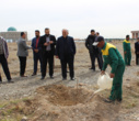 برگزاری مراسم درختکاری با حضور سرپرست دانشگاه