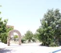 کاشت بیش از یک‌هزار و ۲۰۰ اصله درخت و درختچه در نقاط مختلف دانشگاه