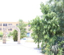 کاشت بیش از یک‌هزار و ۲۰۰ اصله درخت و درختچه در نقاط مختلف دانشگاه