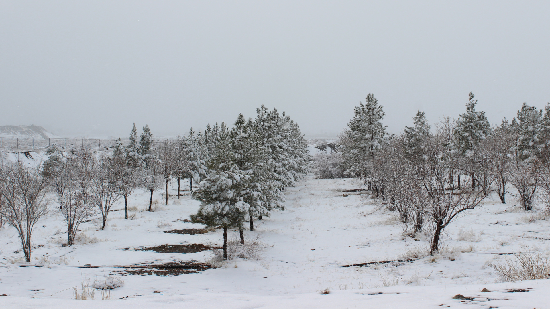 زمستان دانشگاه نیشابور
