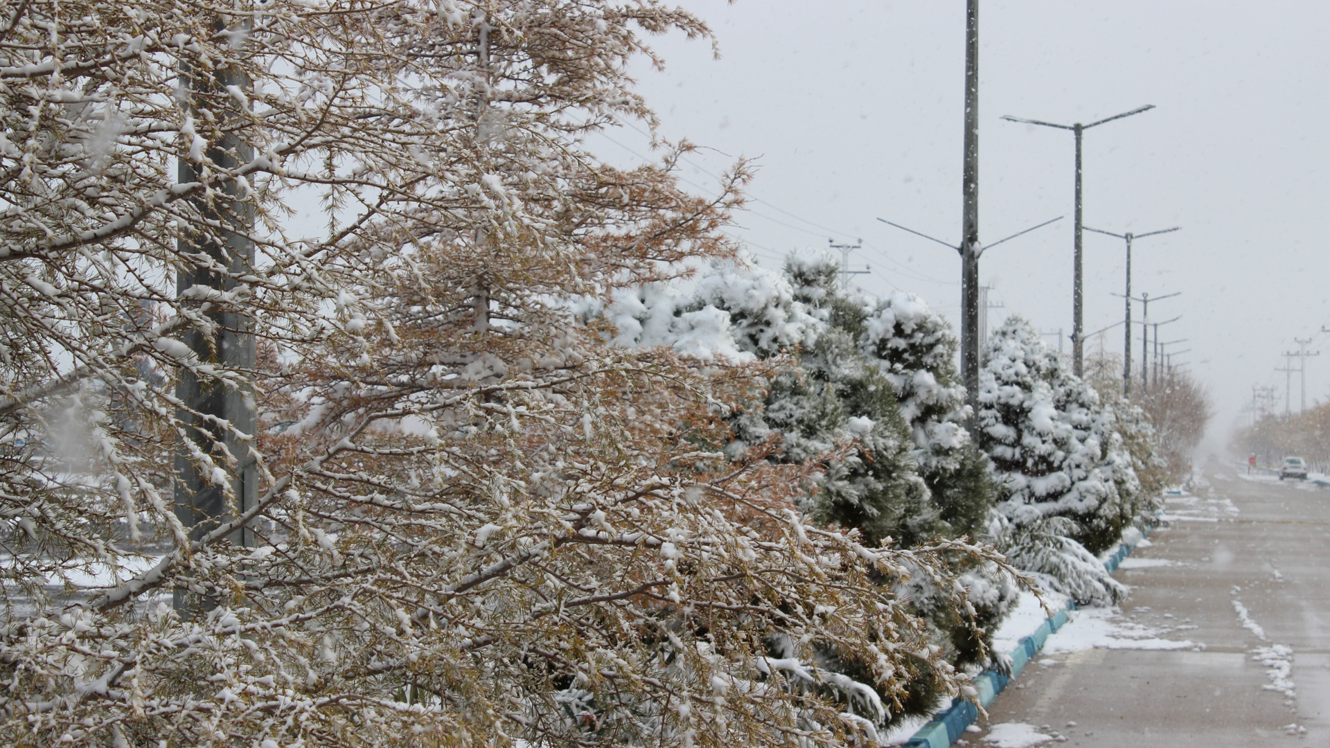 زمستان دانشگاه نیشابور