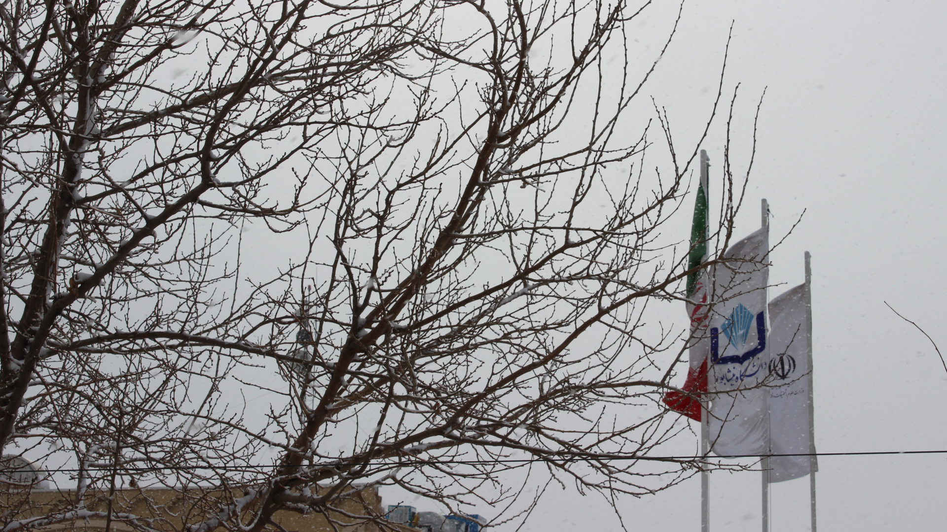 زمستان دانشگاه نیشابور