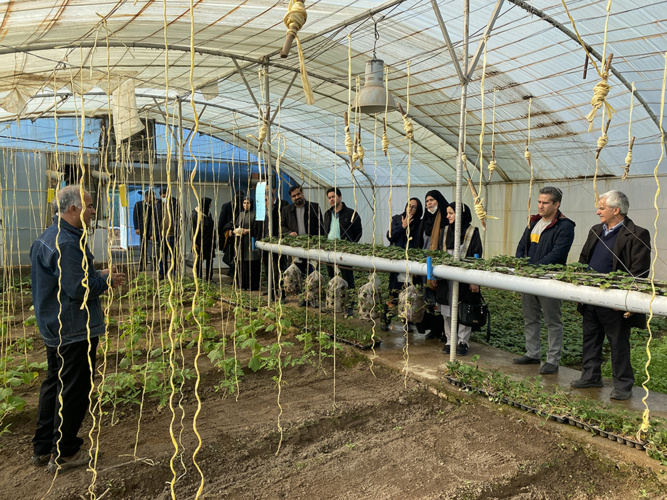 بازدید ریاست دانشگاه نیشابور و هیات همراه از سازمان فنی و حرفه ای شهرستان؛ به مناسبت هفته پژوهش