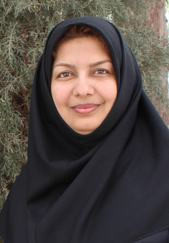 عضویت رئیس دانشکده هنر دانشگاه در هیآت ممیزه دانشگاه های جنوب استان خراسان رضوی